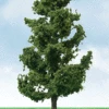 JTT Pro-Elite Series 5 To 5.5" Spruce Trees 2pcs 1 JTT Pro-Elite Series 5 To 5.5" Spruce Trees 2pcs -Model Haven Shop 92317
