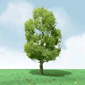 Model Haven Shop -Model Haven Shop 92409