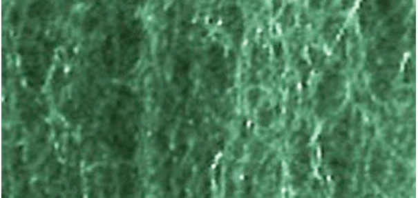 JTT Miniature Tree Foliage Fiber Cluster Medium, Dark Green 150 Square Inches 3 JTT Miniature Tree Foliage Fiber Cluster Medium, Dark Green 150 Square Inches