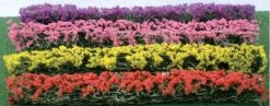 JTT Miniature Tree Flower Hedges (Red, Pink, Yellow & Purple) 8pcs
