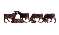 Woodand Scenics Black Angus Cows - HO Scale