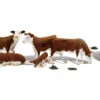 Woodand Scenics Hereford Cows - O Scale -Model Haven Shop A2767 f 1