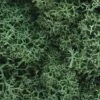 Woodland Scenics Lichen - Light Green -Model Haven Shop L162 f 1
