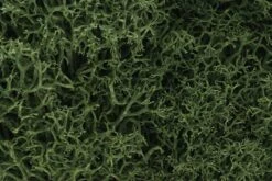Woodland Scenics Lichen - Medium Green