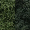 Woodland Scenics Lichen - Dark Green Mix -Model Haven Shop L168 f 1