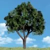Woodland Scenics 2" - 3" Cool Shade Trees 4pcs 1 Woodland Scenics 2" - 3" Cool Shade Trees 4pcs -Model Haven Shop RMWC CS f 1 e44e gp