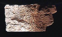 Woodland Scenics Earth Colors BURNT UMBER Liquid Pigment(TM) - 4oz 118mL Bottle