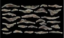 Woodland Scenics Creek Bank Rock Molds Set Of 2