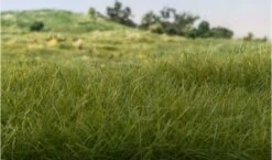 Woodland Scenics 7mm Static Grass Dark Green