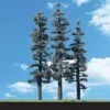 Woodland Scenics 6" - 7" Standing Timber Trees 3pcs -Model Haven Shop tr3560 lkit hy onzk i0