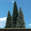 Woodland Scenics 3 1/2" - 5 1/2" Forever Green Trees 4pcs -Model Haven Shop tr3565 d7iz 7v